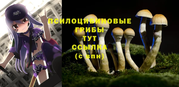 MESCALINE Аркадак